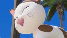 嘴硬小猫猫 我们一起来玩吧